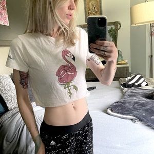 Flamingo Rose Cropped Tee